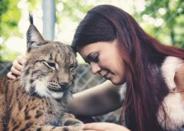 Mojak der Luchs und das Model