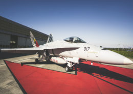 Falken Trifft auf F/A 18 Hornet