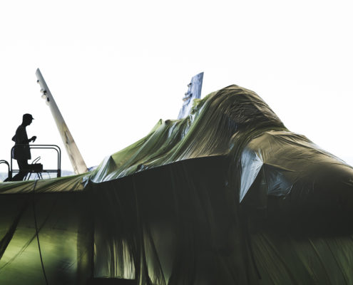 Falken Trifft auf F/A 18 Hornet