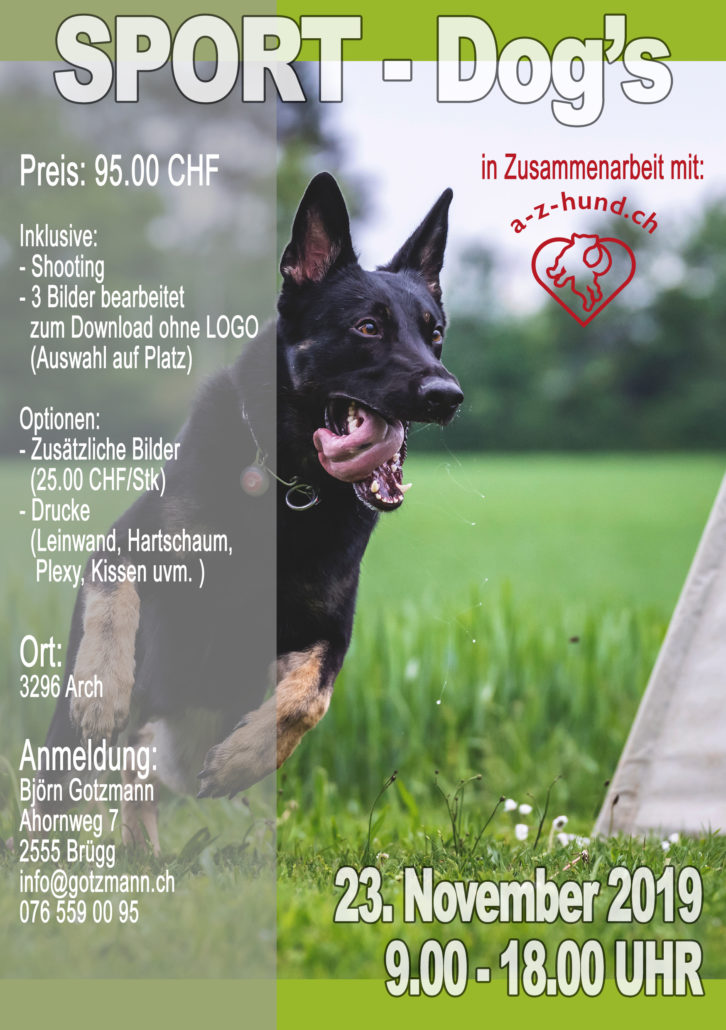 Sport Dogs Foto Shooting Hundesport