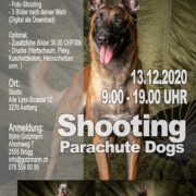 Parachute Dogs wir gehen andere Wege