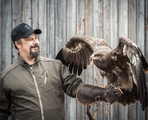 Greifvogel Greifvögel als Shootingpartner